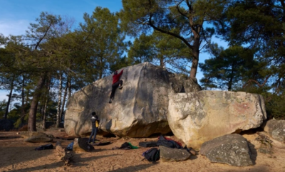 Que faire dans la forêt de fontainebleau ?